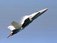 hornet03.jpg