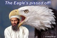 Eagle2.jpg